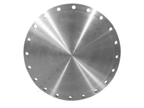 Mặt bích Inox BLRF A182 F304 Class 900