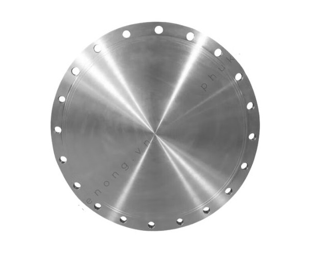 Mặt bích Inox BLRF A182 F304 Class 900
